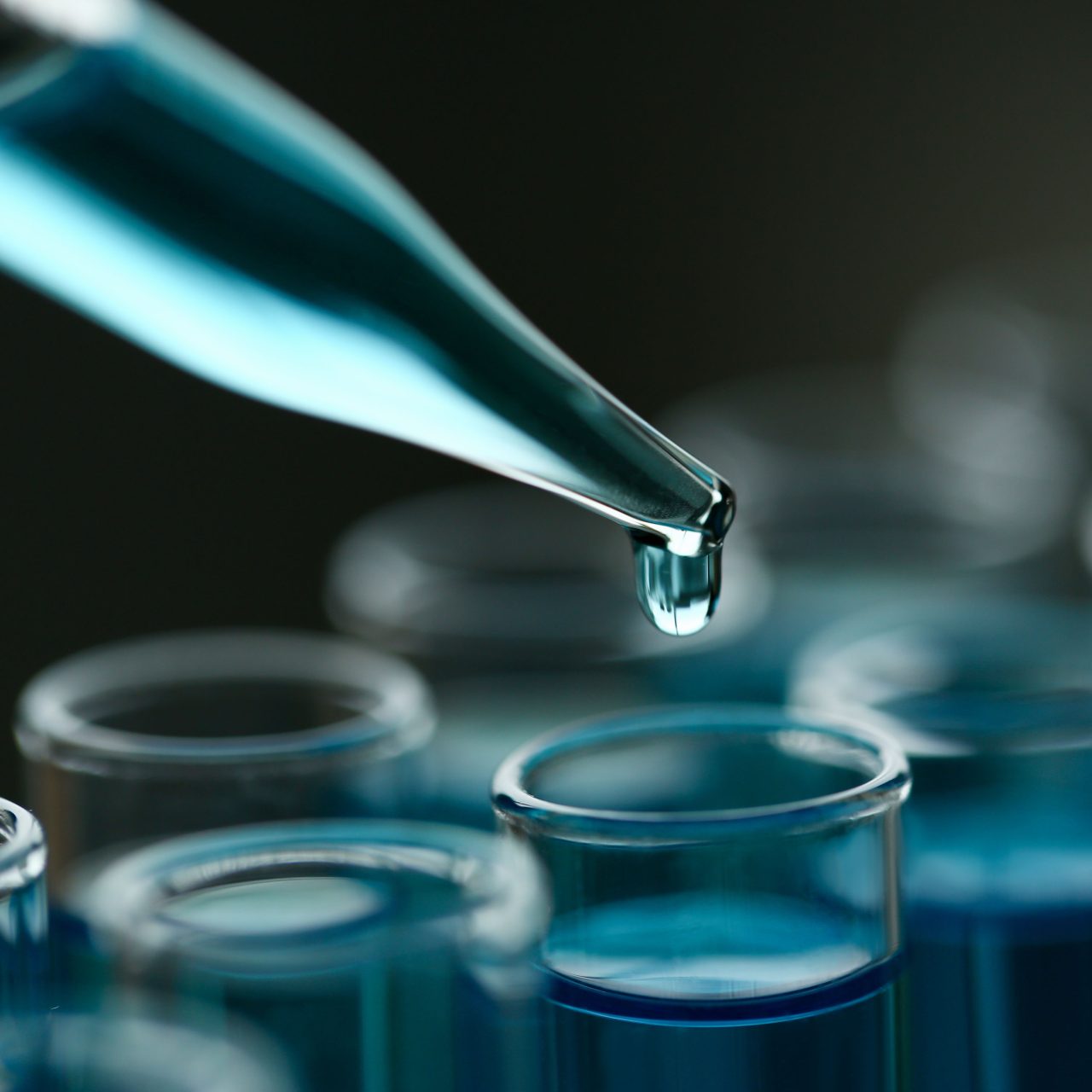 Product Stability Studies TriaPharma